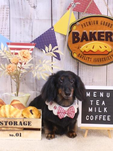 20240918ハルちゃん